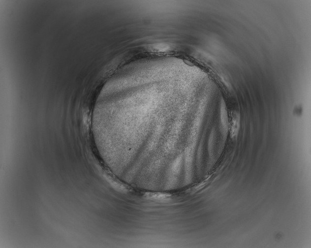 X0000093740476200711061028