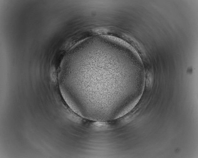 X0000093740477200711061028