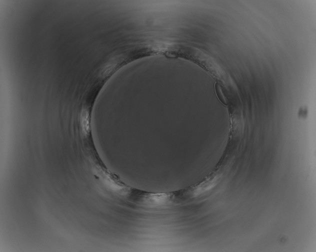 X0000093740479200711061028