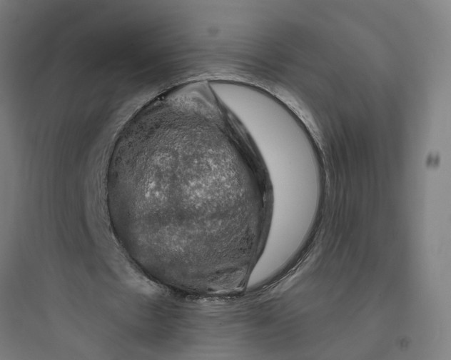 X0000093740481200711061028