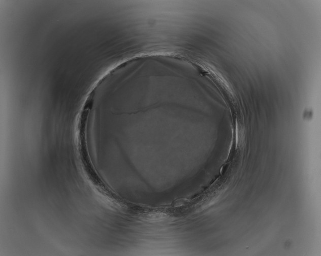 X0000093740483200711061028