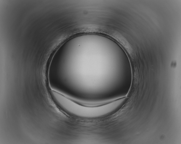 X0000093740485200711061027