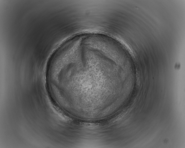 X0000093740486200711061027