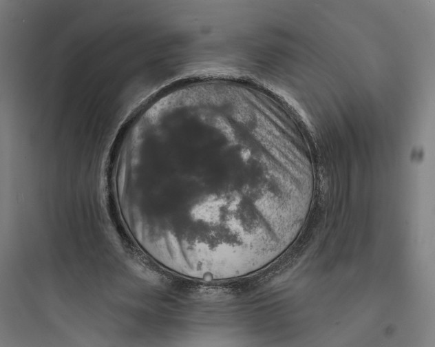 X0000093740487200711061027