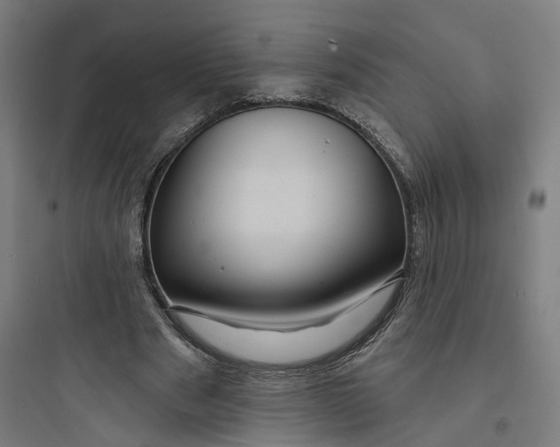 X0000093740489200711061027