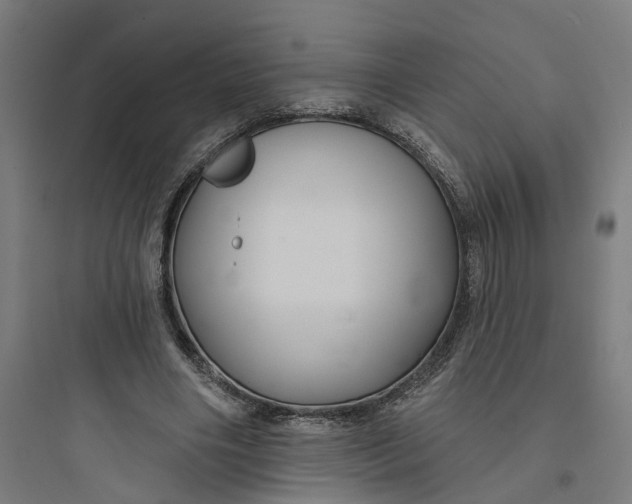 X0000093740490200711061027