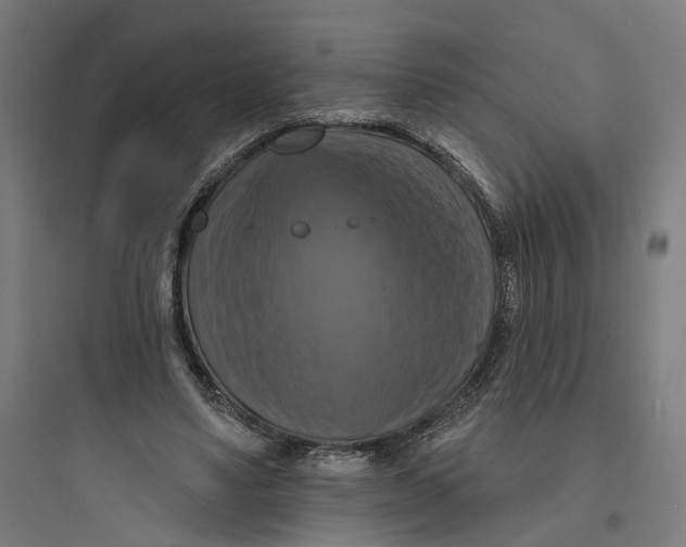 X0000093740491200711061027