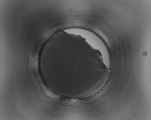 X0000093740493200711061027