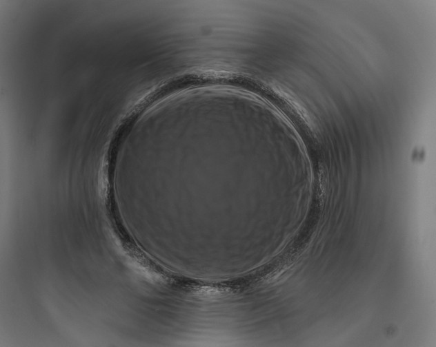 X0000093740494200711061027