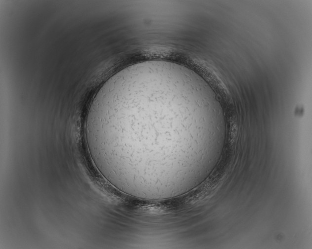 X0000093740498200711061027