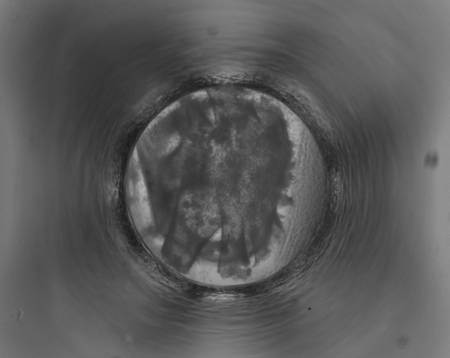 X0000093740499200711061027