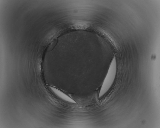 X0000093740501200711061027