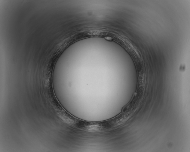 X0000093740505200711061027