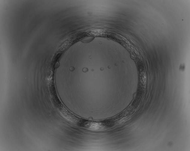 X0000093740507200711061027