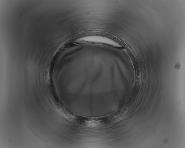 X0000093740508200711061027