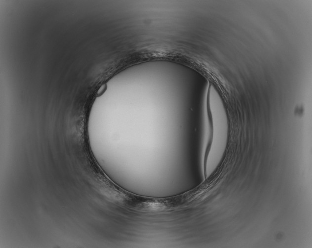 X0000093740509200711061027