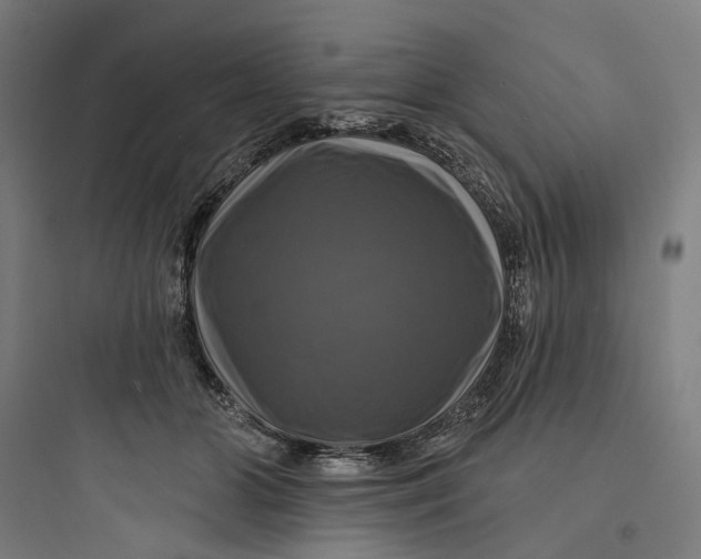 X0000093740510200711061027