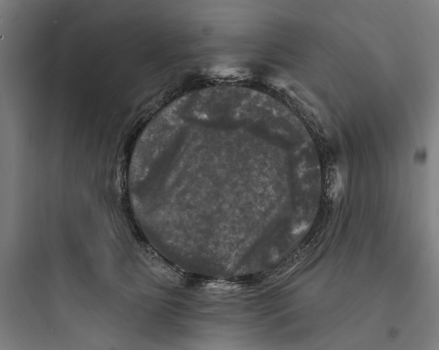 X0000093740515200711061027