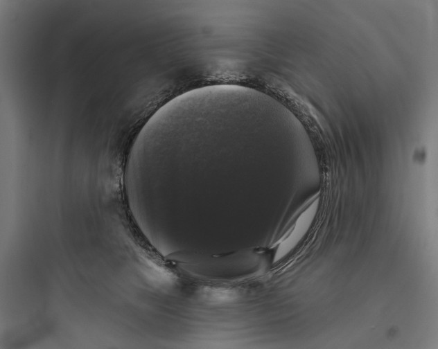 X0000093740517200711061027