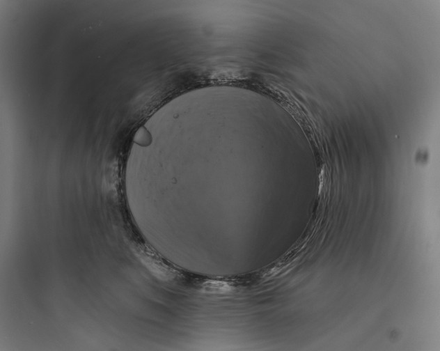 X0000093740519200711061027