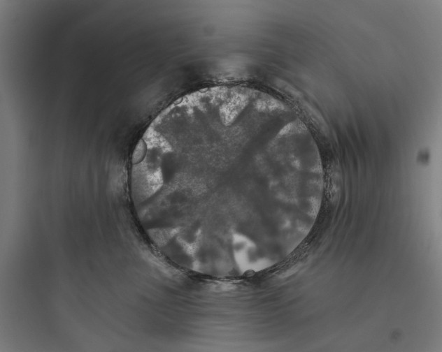 X0000093740523200711061027