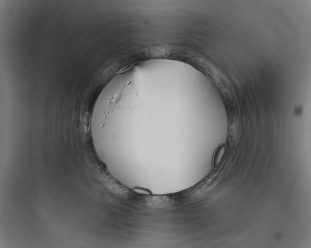 X0000093740525200711061027