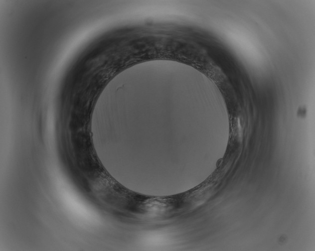 X0000093740526200711061027