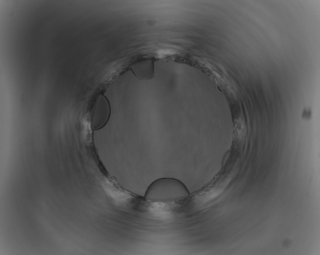 X0000093740527200711061027