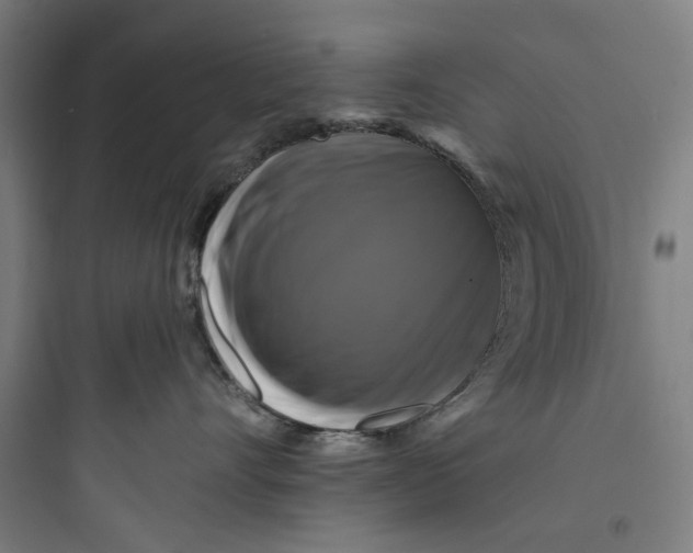 X0000093740528200711061027