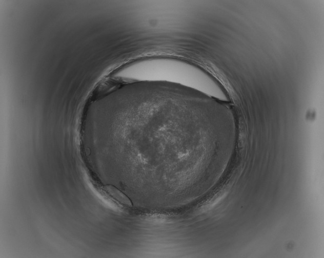 X0000093740530200711061026