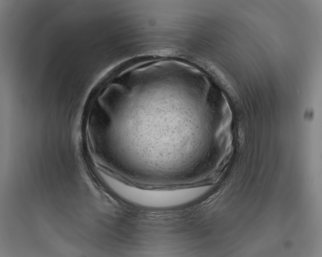 X0000093740532200711061026