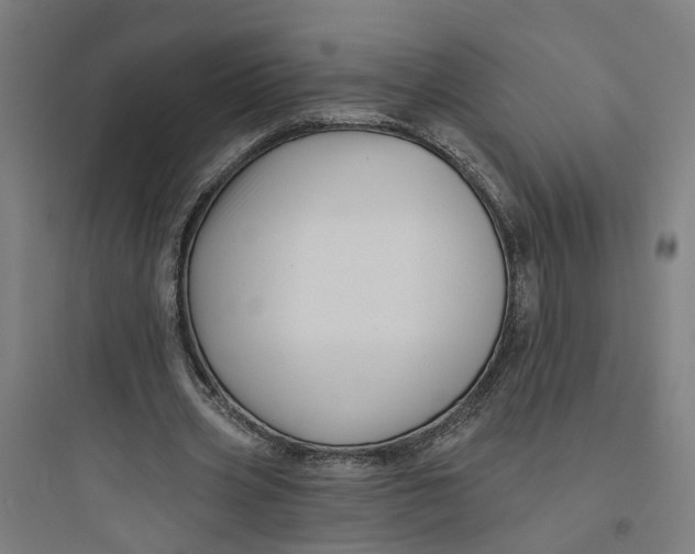 X0000093740533200711061026