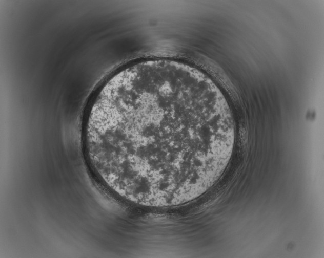 X0000093740534200711061026