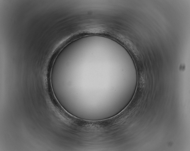 X0000093740535200711061026