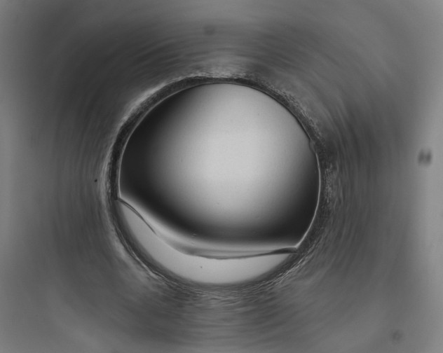 X0000093740536200711061026