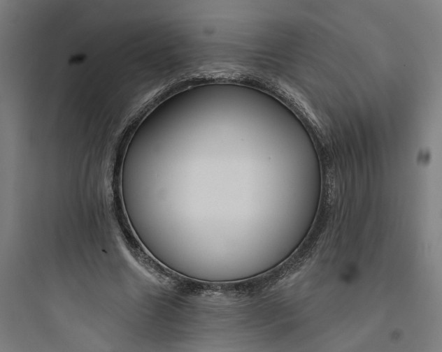 X0000093740538200711061026