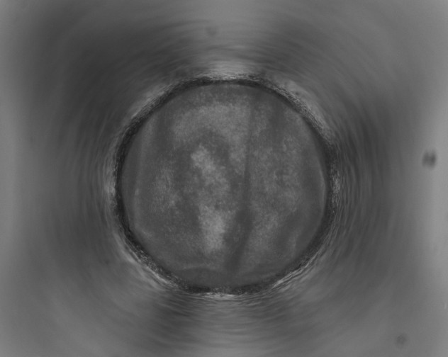 X0000093740539200711061026