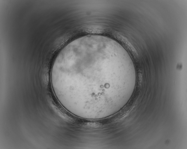 X0000093740541200711061026