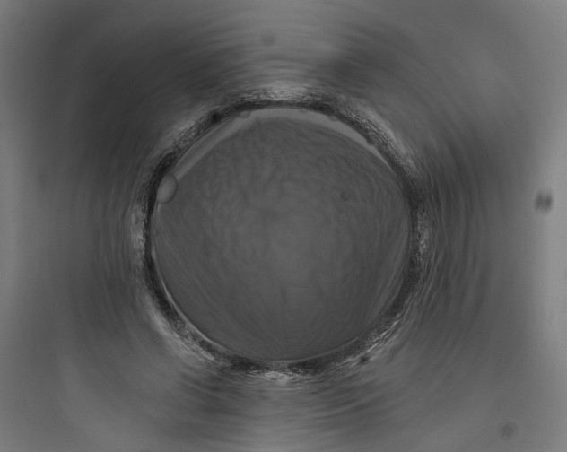 X0000093740542200711061026