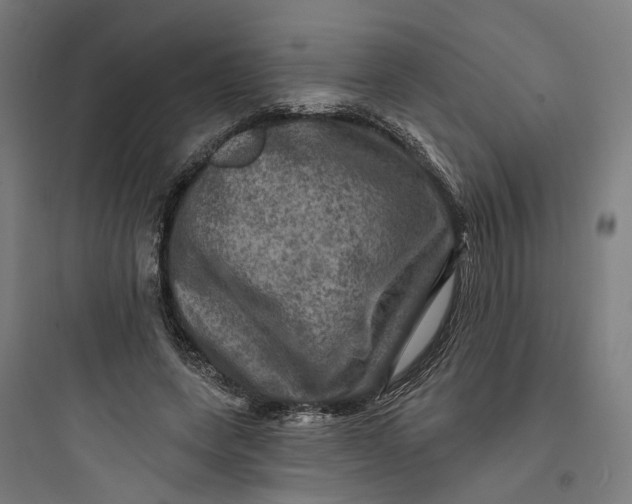 X0000093740543200711061026