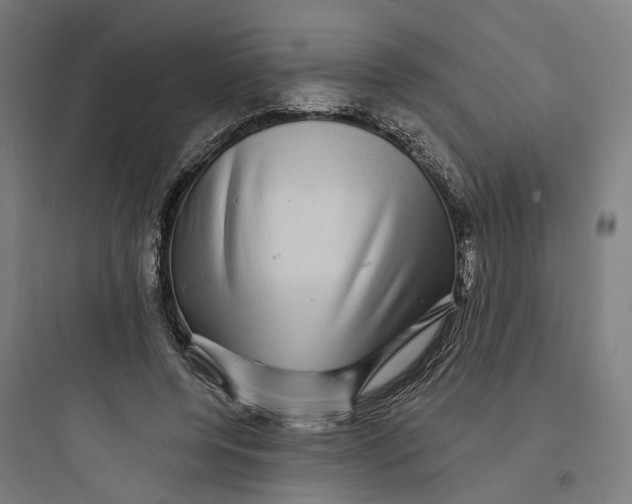 X0000093740544200711061026