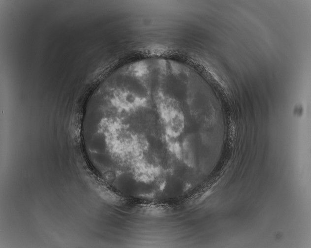 X0000093740545200711061026