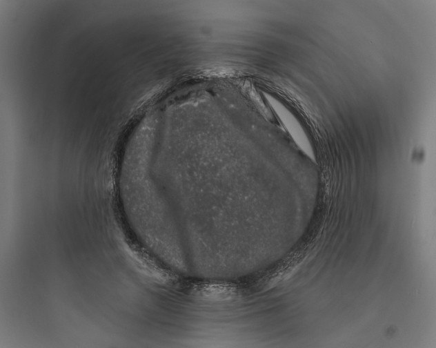 X0000093740546200711061026