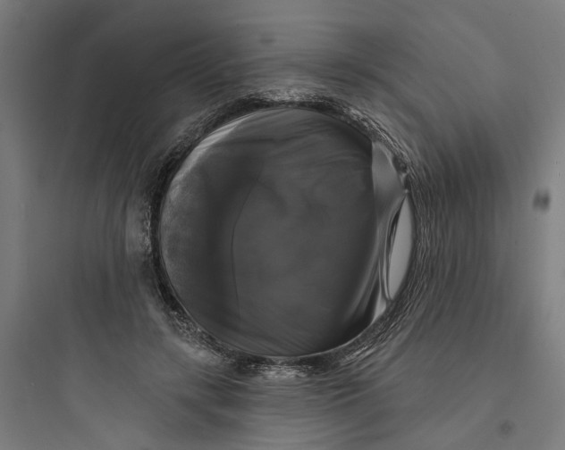 X0000093740547200711061026