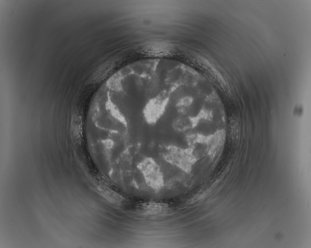 X0000093740549200711061026