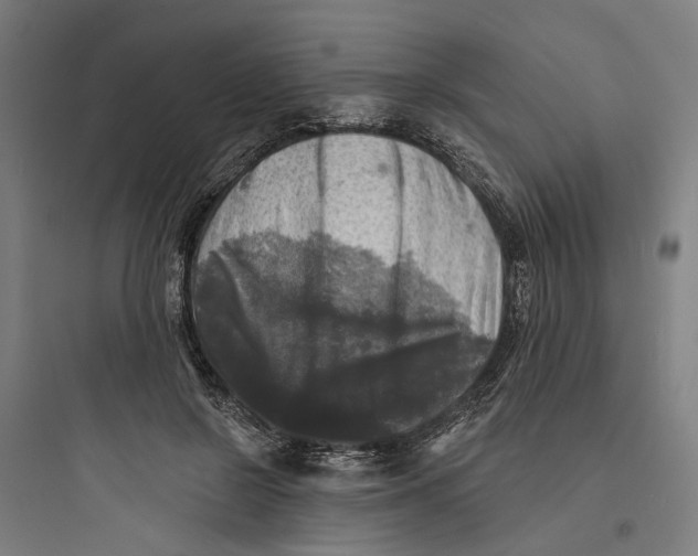 X0000093740550200711061026