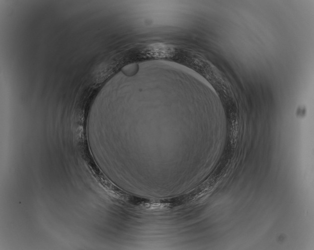 X0000093740553200711061026