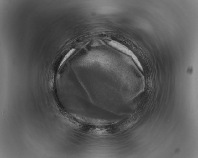 X0000093740554200711061026