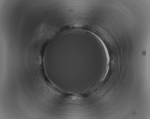 X0000093740555200711061026