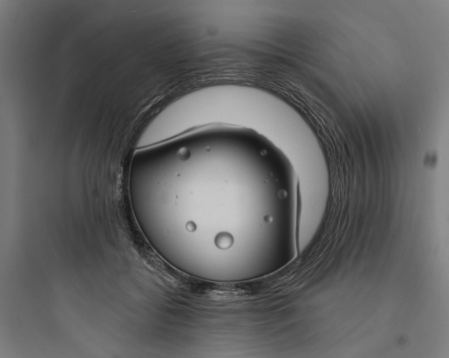 X0000093740556200711061026